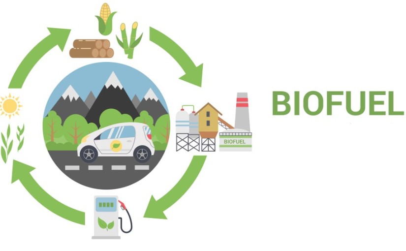 Biofuels – Bio Circular News